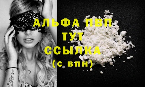 молекула духа Нефтекумск