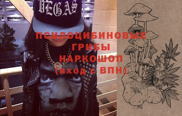 mdma Новодвинск