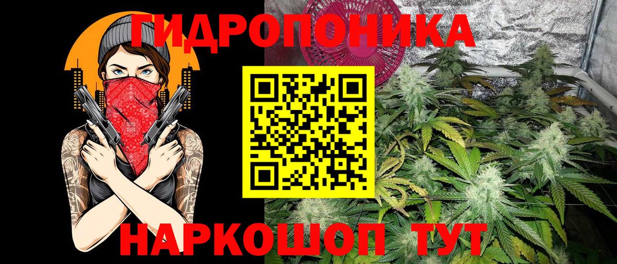 Канабис ГИДРОПОН  МАРИХУАНА VHQ  Вход с VPN  Бошки Шишки гибрид  Марихуана White Widow  Зерноград 